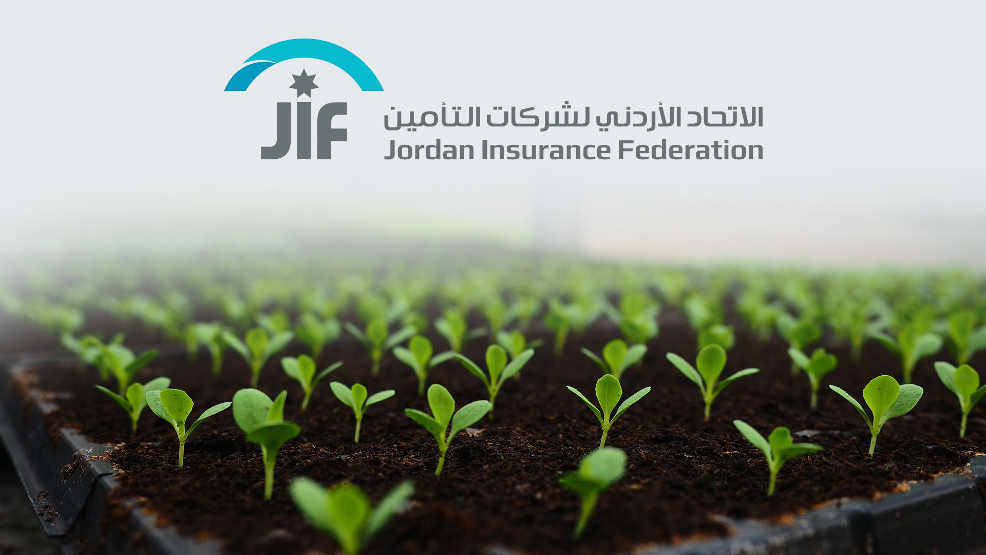 لجنة تأمين الحريق والحوادث العامة في الاتحاد الأردني لشركات التأمين تبحث مشروع التأمين الزراعي وإمكانيات توفيره في السوق الأردني